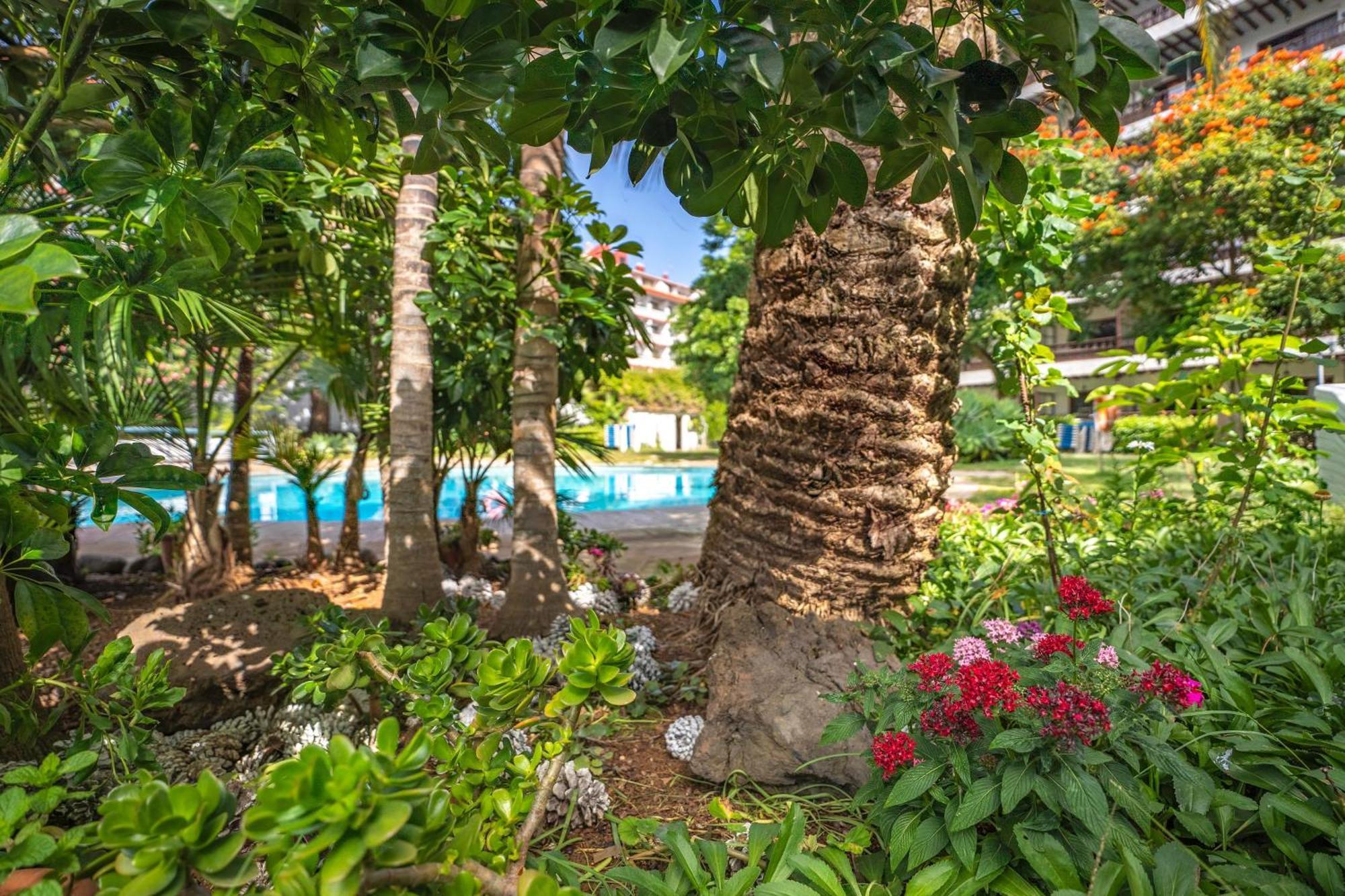 Coral Teide Mar Aparthotel Πουέρτο Ντε Λα Κρουζ Εξωτερικό φωτογραφία